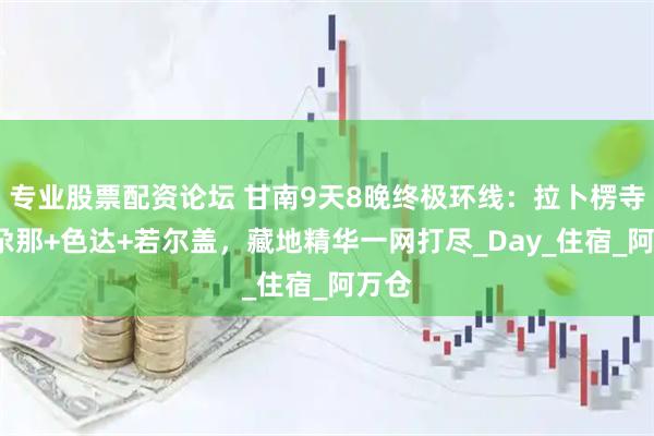 专业股票配资论坛 甘南9天8晚终极环线：拉卜楞寺+扎尕那+色达+若尔盖，藏地精华一网打尽_Day_住宿_阿万仓