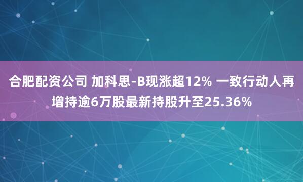 合肥配资公司 加科思-B现涨超12% 一致行动人再增持逾6万股最新持股升至25.36%
