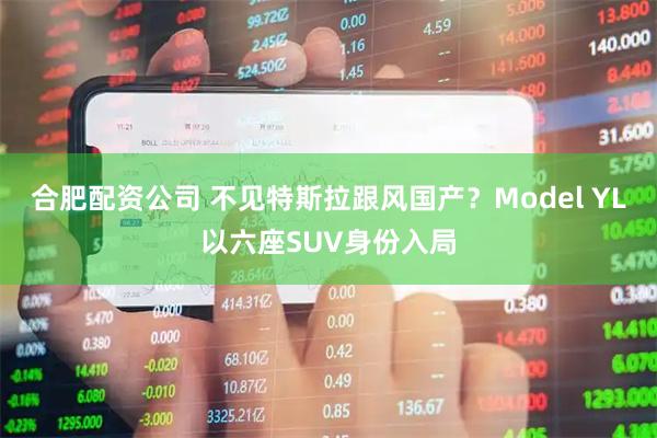 合肥配资公司 不见特斯拉跟风国产？Model YL以六座SUV身份入局